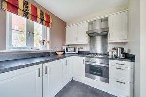 Photo 14- click for photo gallery